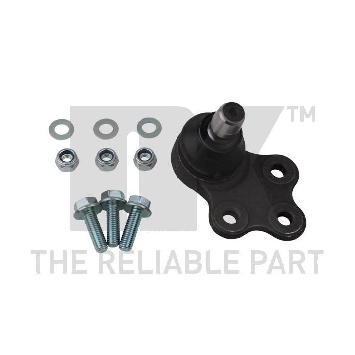 Šarnyras / girgždukas NK 5042326