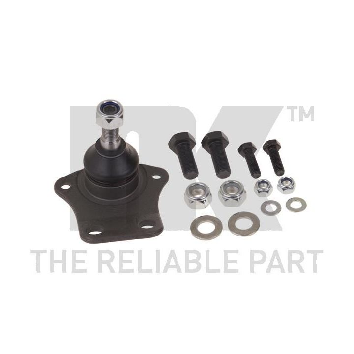 Šarnyras / girgždukas NK 5042506