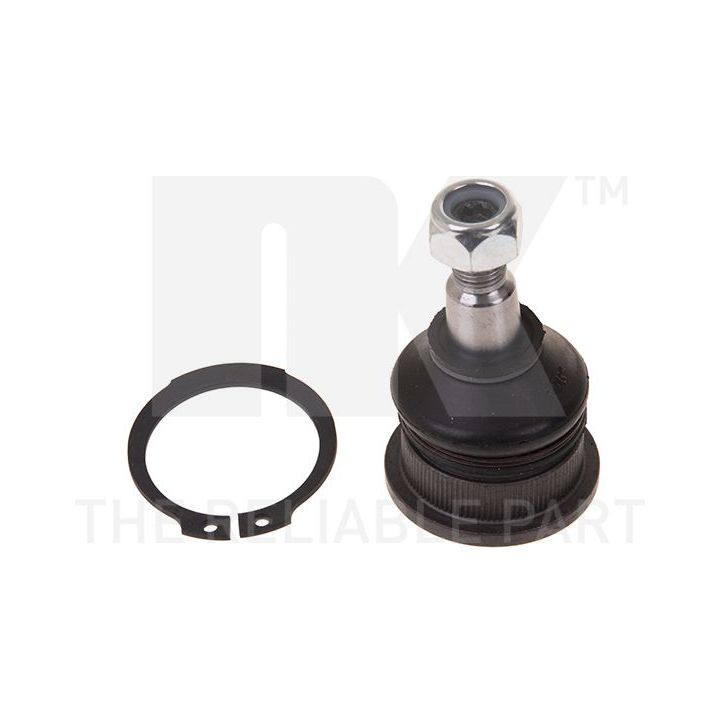 Šarnyras / girgždukas NK 5043003