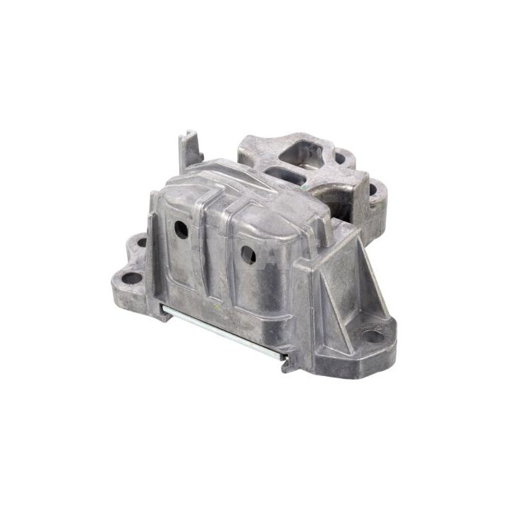 Variklio montavimas SWAG 70 10 5673