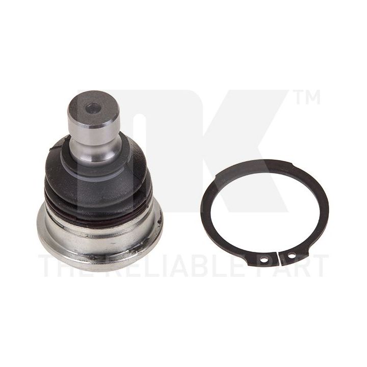 Šarnyras / girgždukas NK 5043409