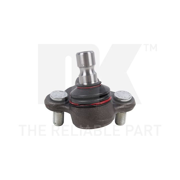 Šarnyras / girgždukas NK 5043426