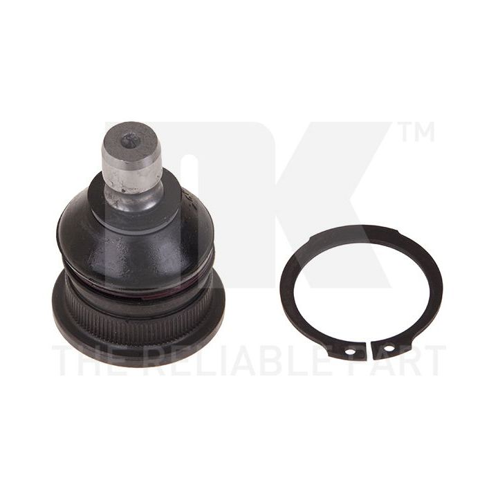 Šarnyras / girgždukas NK 5043507