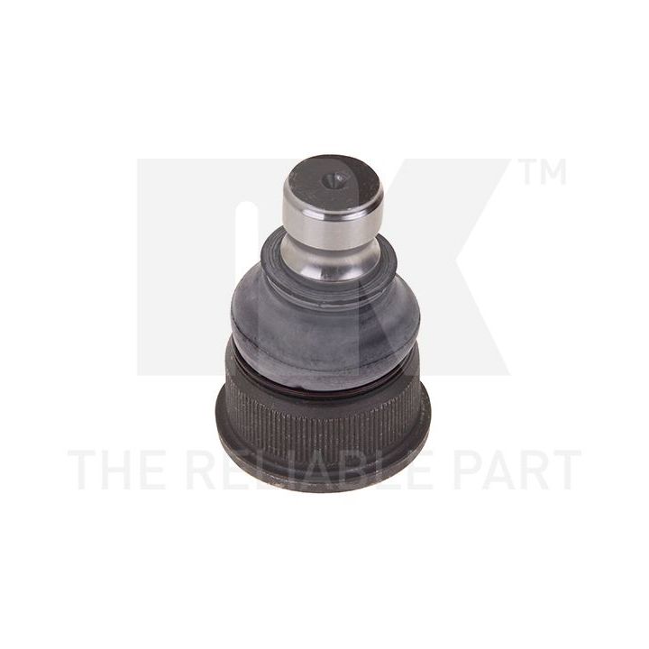 Šarnyras / girgždukas NK 5043926