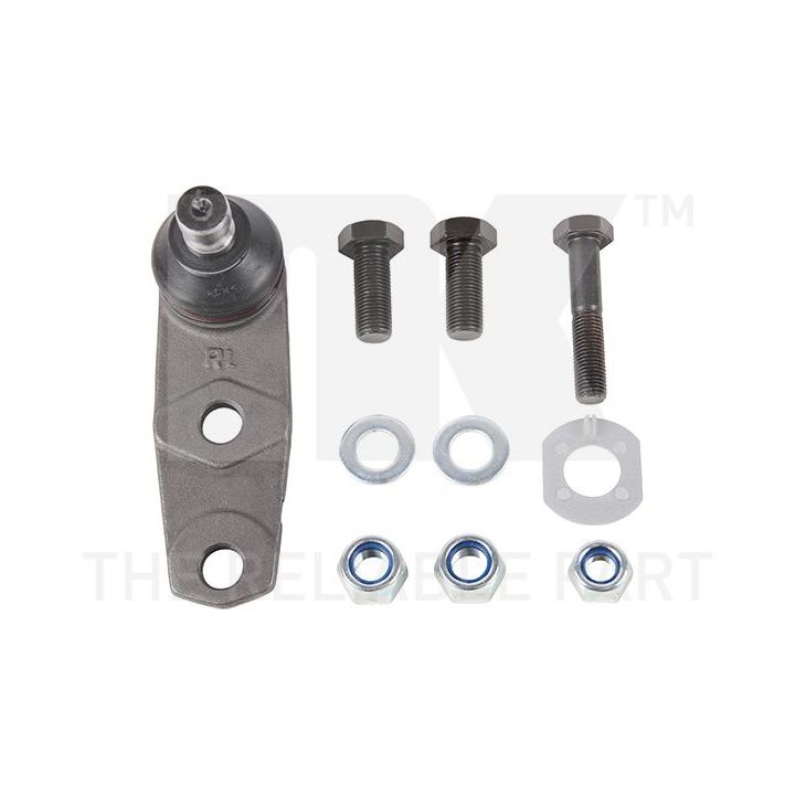 Šarnyras / girgždukas NK 5043932