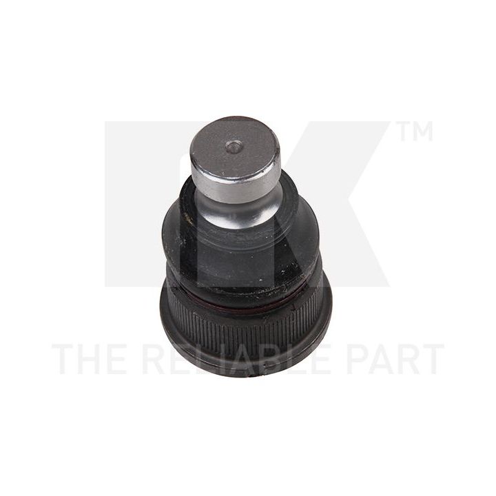 Šarnyras / girgždukas NK 5043940