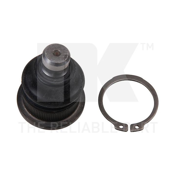 Šarnyras / girgždukas NK 5043941