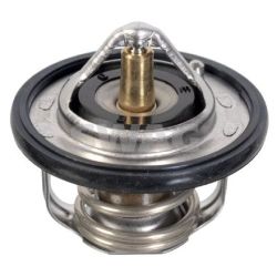 Termostatas, aušinimo skystis SWAG 33 10 4991