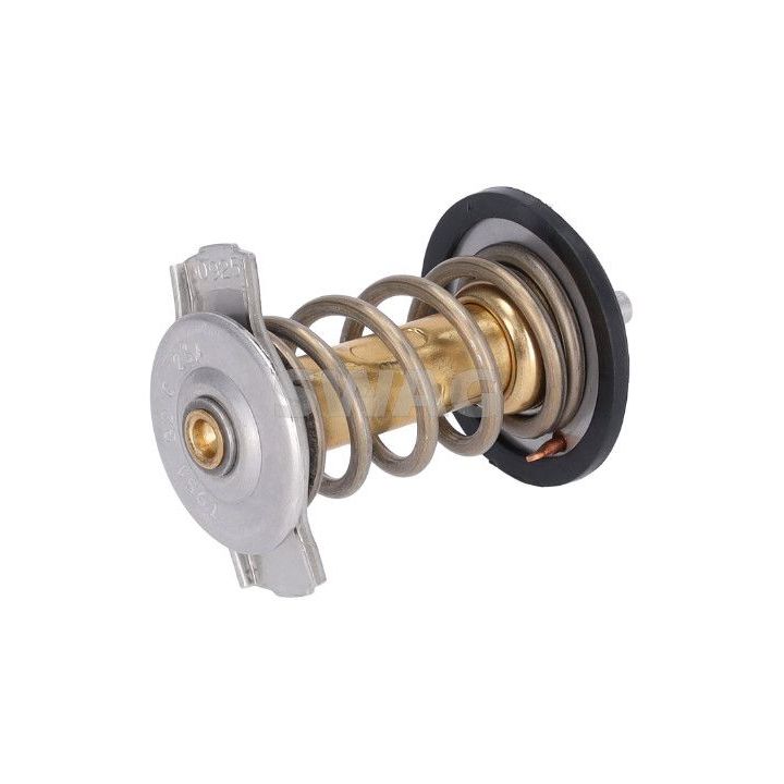 Termostatas, aušinimo skystis SWAG 33 10 9997