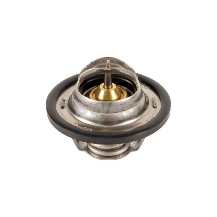 Termostatas, aušinimo skystis SWAG 60 92 4028