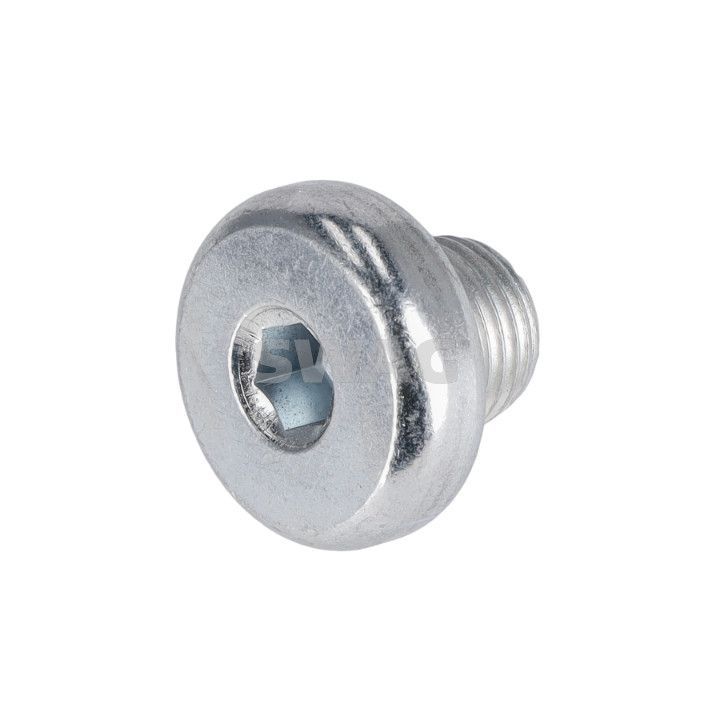 Alyvos išleidimo kaištis, alyvos karteris SWAG 33 10 7905