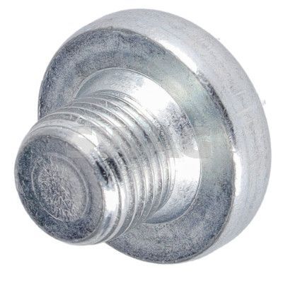 Alyvos išleidimo kaištis, alyvos karteris SWAG 33 10 7905