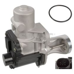 ERG vožtuvas SWAG 30 10 9639