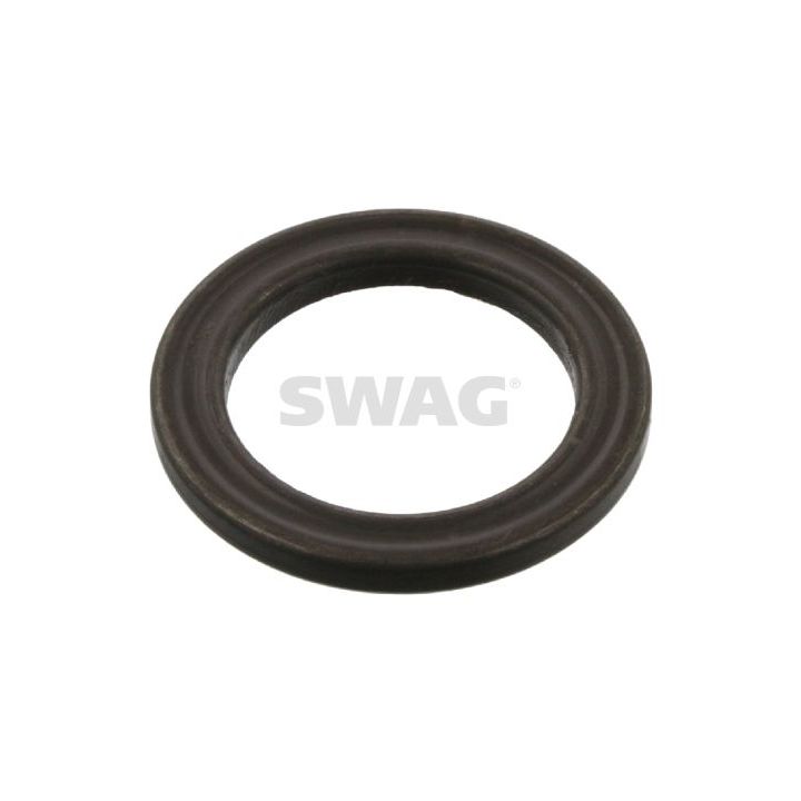 Frikcinis guolis, pakabos statramsčio atramos montavimas SWAG 62 54 0013