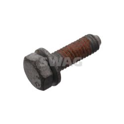 Skriemulio varžtas SWAG 62 93 3758