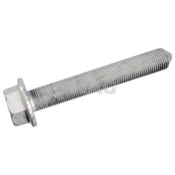 Tvirtinimo veržlės, balansyras SWAG 33 10 4039