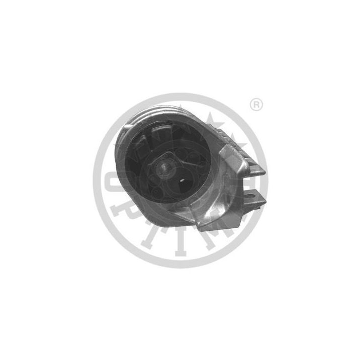 Variklio montavimas OPTIMAL F8-4110