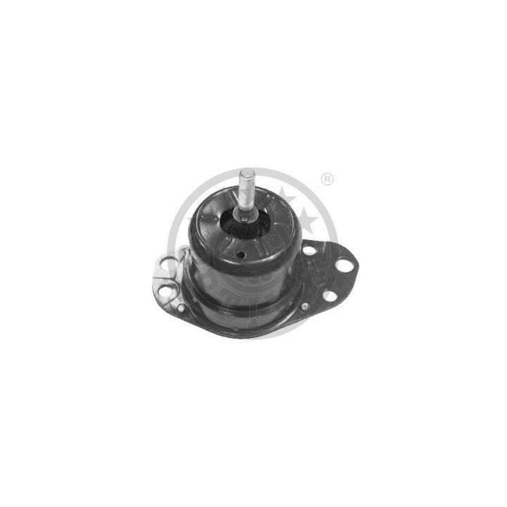 Variklio montavimas OPTIMAL F8-5414