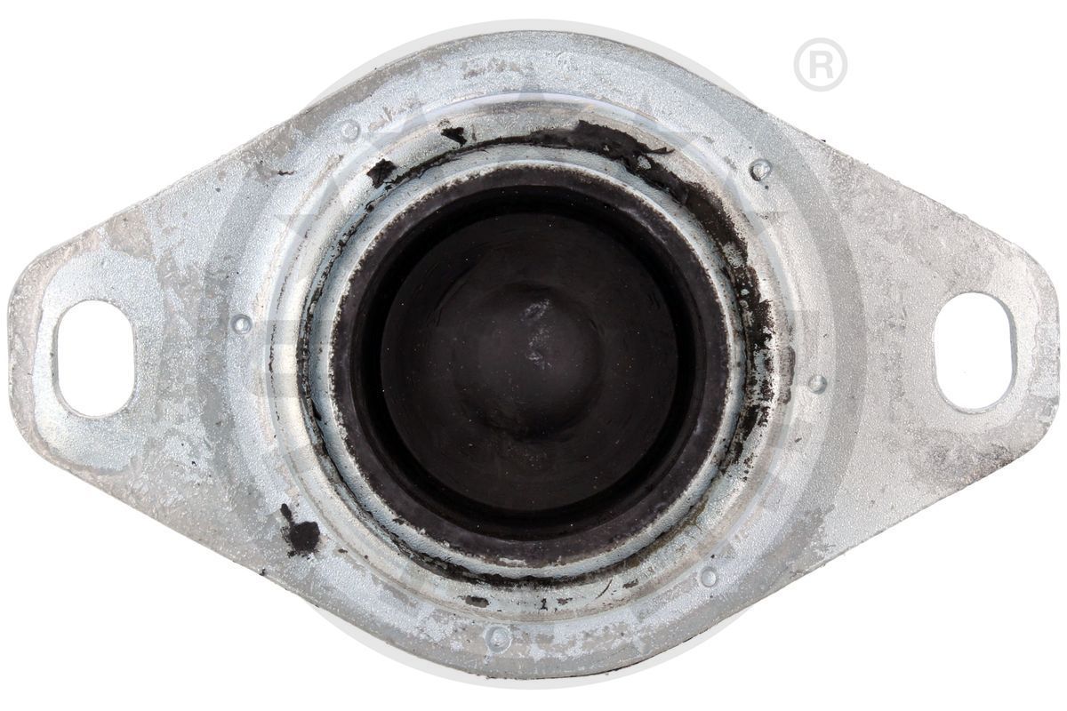 Variklio montavimas OPTIMAL F8-5481