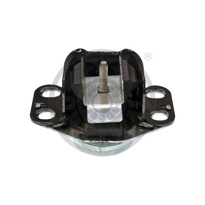 Variklio montavimas OPTIMAL F8-5487