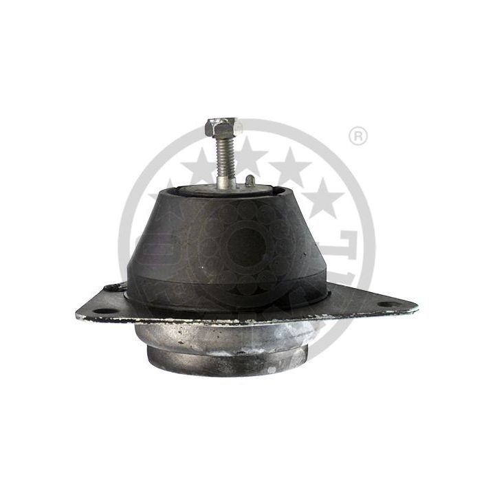 Variklio montavimas OPTIMAL F8-5489