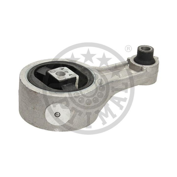 Variklio montavimas OPTIMAL F8-5490