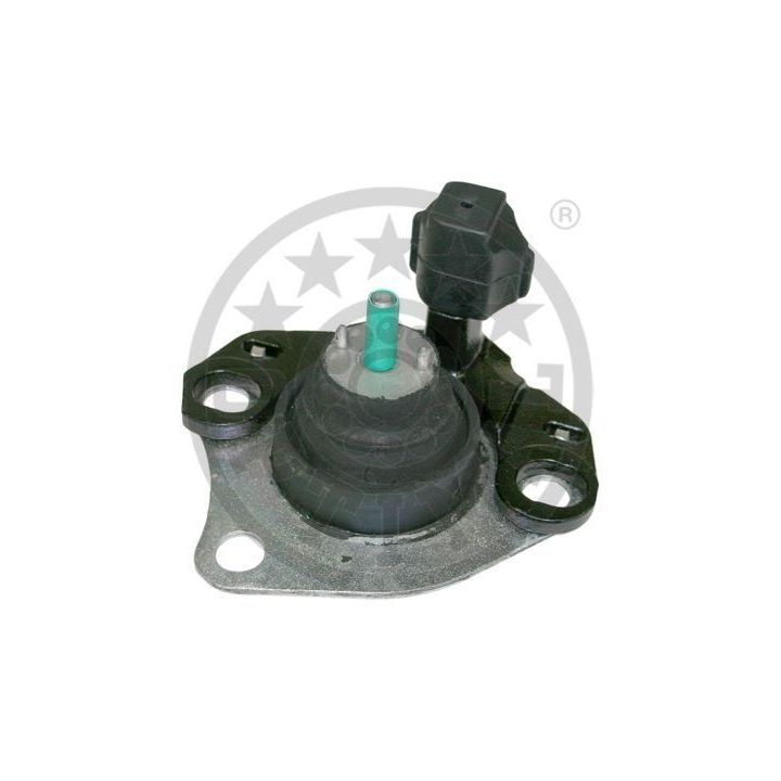 Variklio montavimas OPTIMAL F8-6483