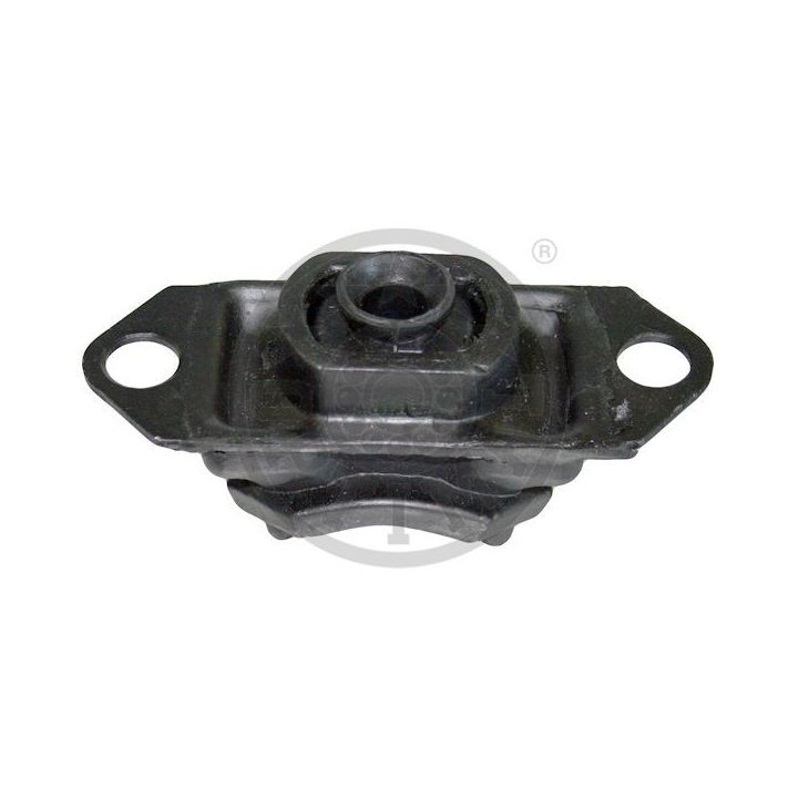 Variklio montavimas OPTIMAL F8-6600