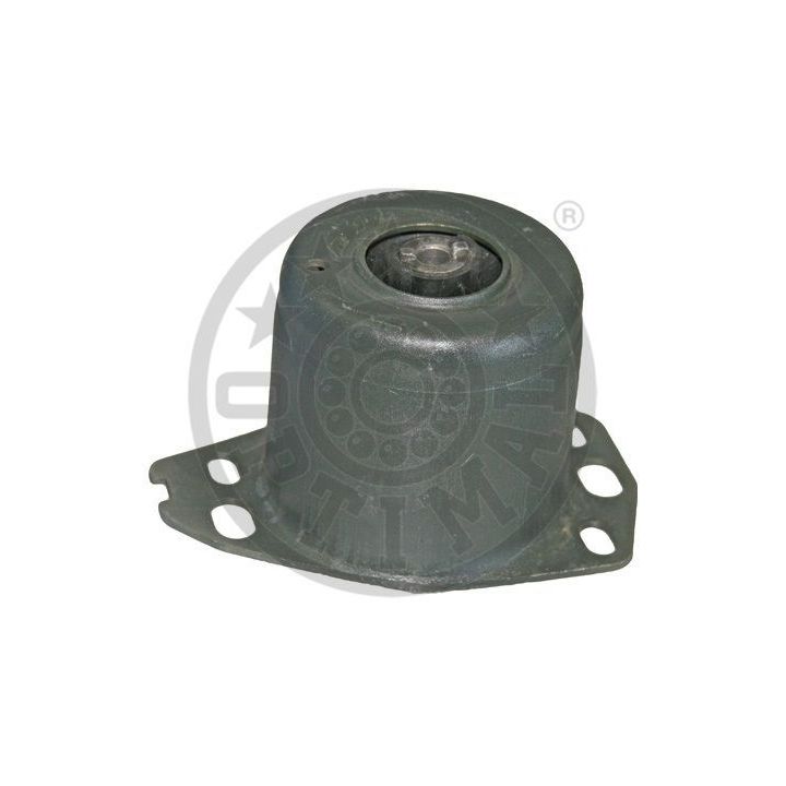 Variklio montavimas OPTIMAL F8-6631