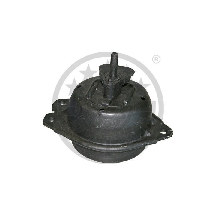 Variklio montavimas OPTIMAL F8-6668