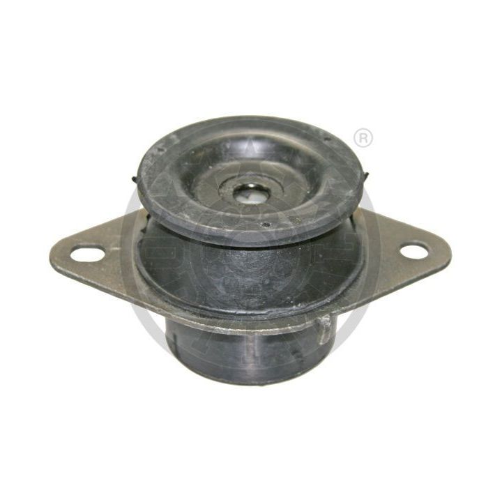 Variklio montavimas OPTIMAL F8-6690