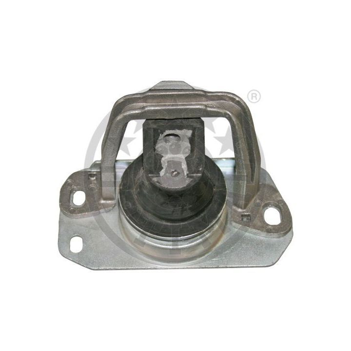 Variklio montavimas OPTIMAL F8-6691