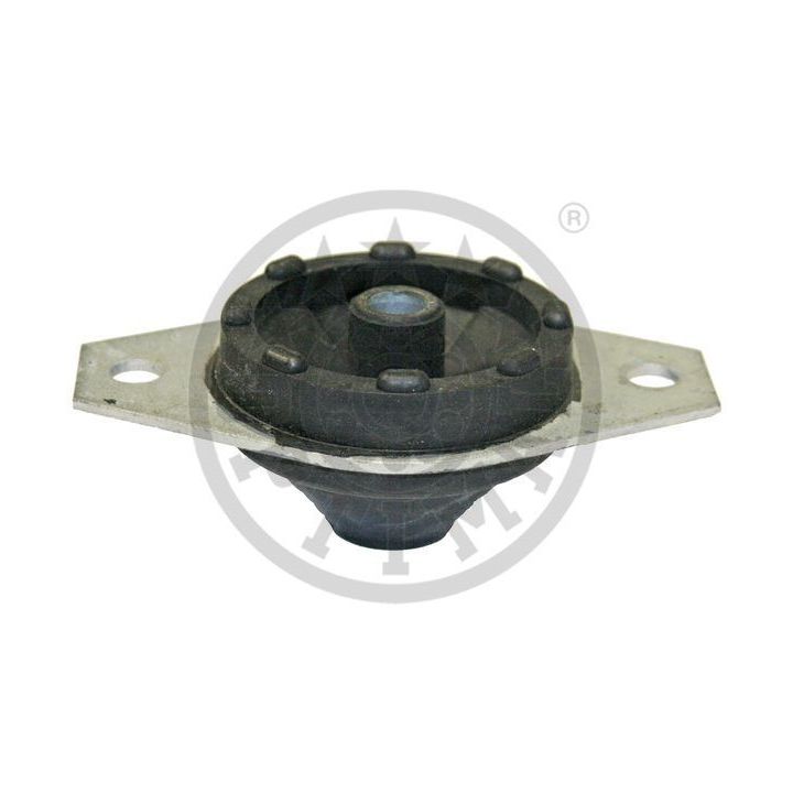 Variklio montavimas OPTIMAL F8-6887