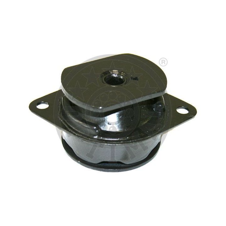 Variklio montavimas OPTIMAL F8-6894