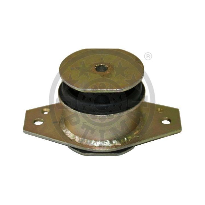 Variklio montavimas OPTIMAL F8-6895