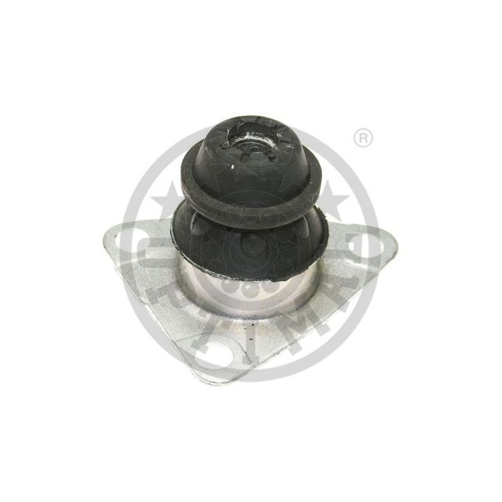 Variklio montavimas OPTIMAL F8-6917