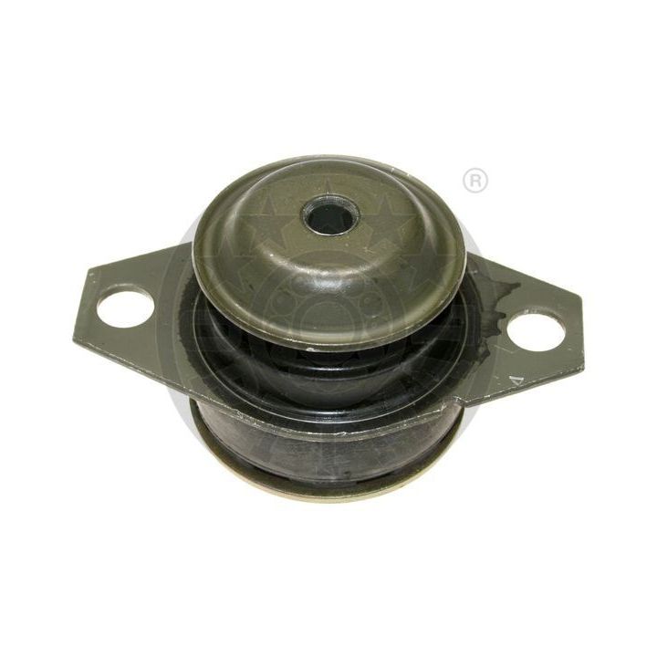 Variklio montavimas OPTIMAL F8-6919