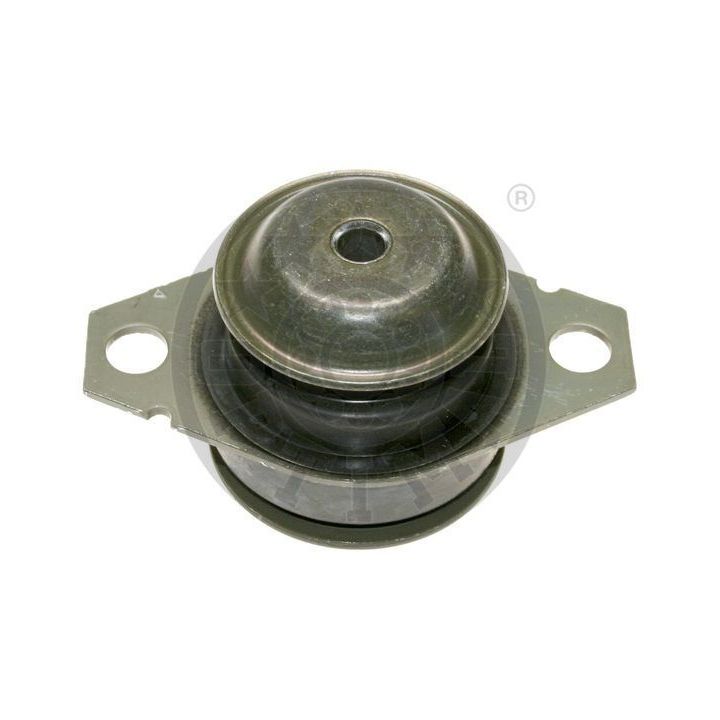 Variklio montavimas OPTIMAL F8-6920