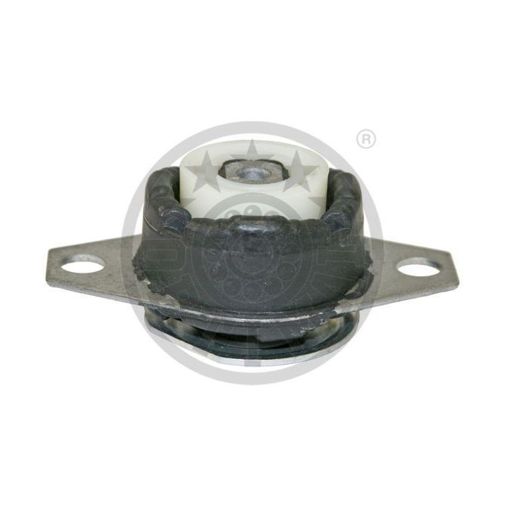 Variklio montavimas OPTIMAL F8-6934