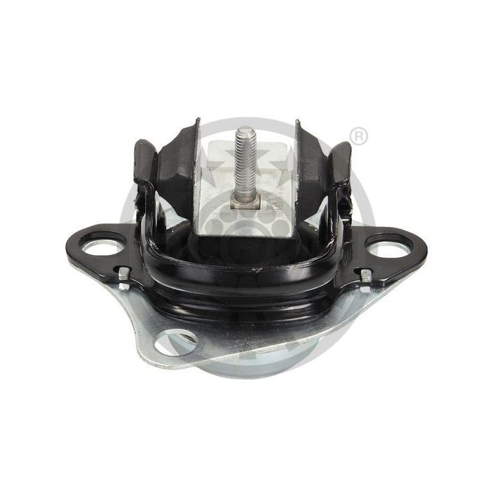 Variklio montavimas OPTIMAL F8-8146