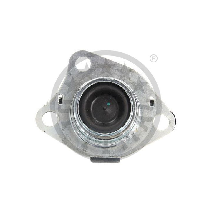 Variklio montavimas OPTIMAL F8-8146