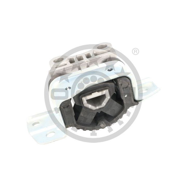 Variklio montavimas OPTIMAL F8-8238