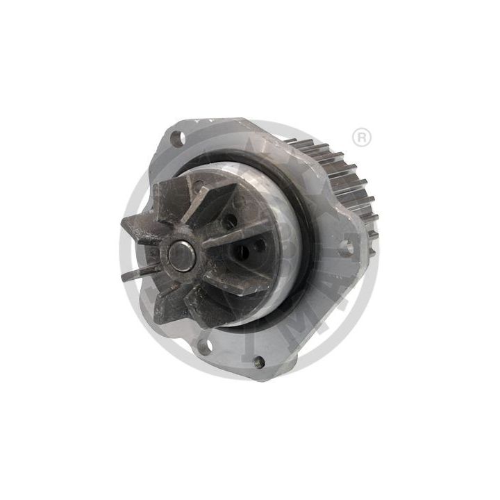 Vandens siurblys, variklio aušinimas OPTIMAL AQ-1848