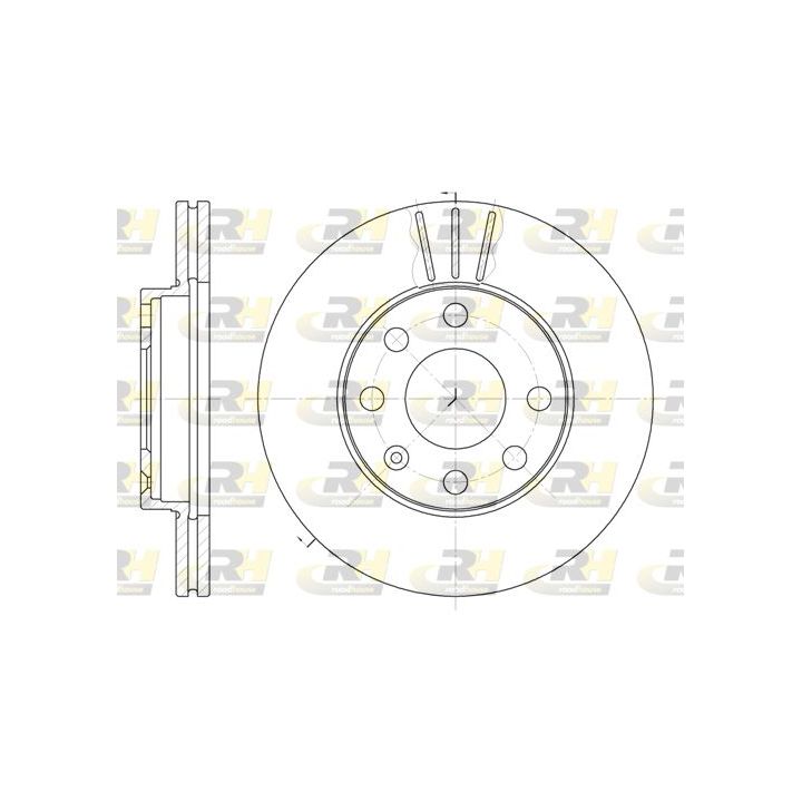 Stabdžių diskas ROADHOUSE 6061.10