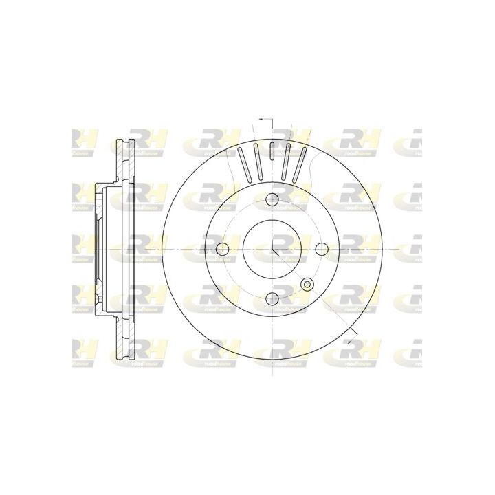 Stabdžių diskas ROADHOUSE 6096.10