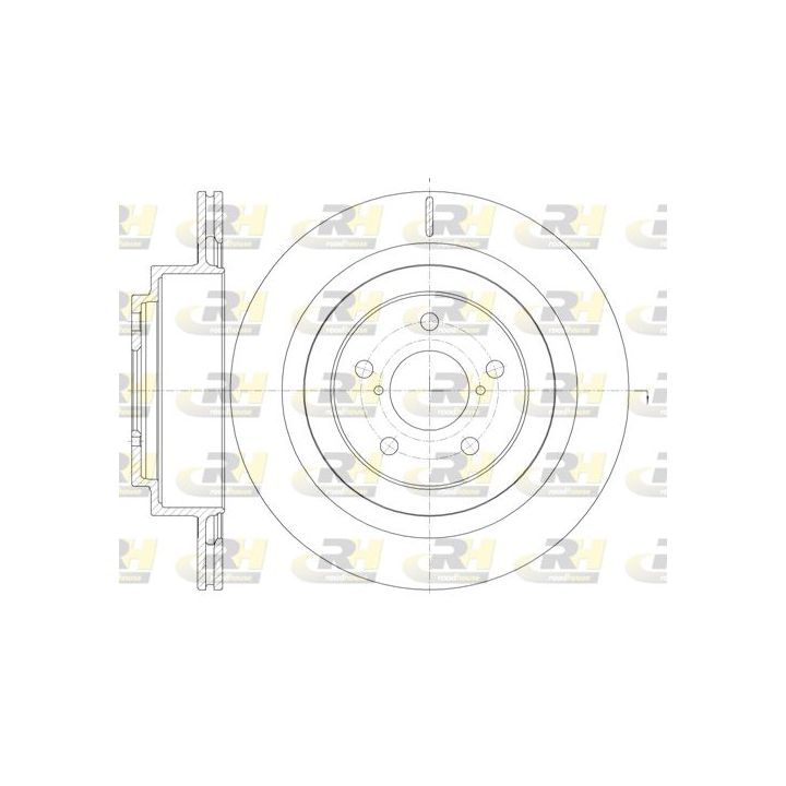 Stabdžių diskas ROADHOUSE 61001.10