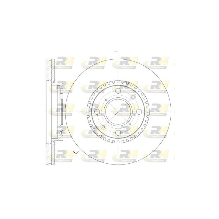 Stabdžių diskas ROADHOUSE 61002.10