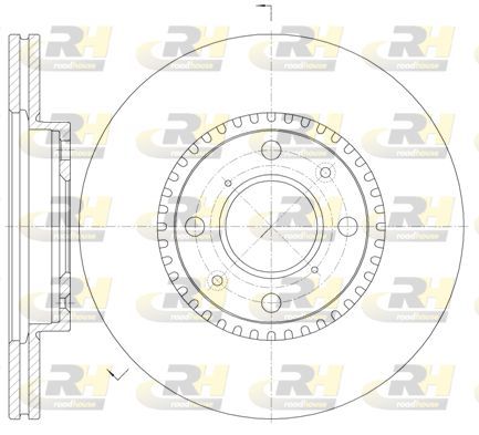 Stabdžių diskas ROADHOUSE 61002.10