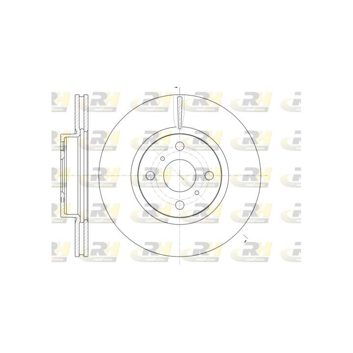 Stabdžių diskas ROADHOUSE 61006.10
