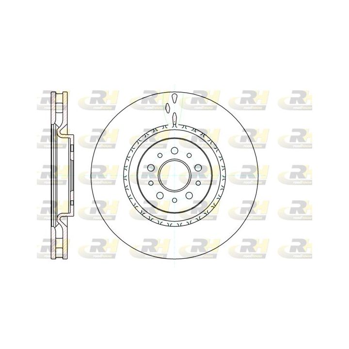 Stabdžių diskas ROADHOUSE 61010.10